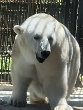 愛媛県立とべ動物園に投稿された画像（2026/7/15）