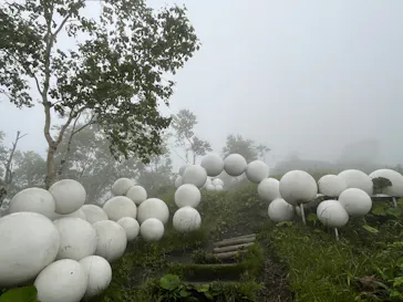 星野リゾート　トマムに投稿された画像（2026/7/15）