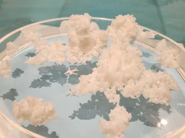 MINIATURE LIFE展2ー田中達也 見立ての世界ー（氷見市芸術文化館）に投稿された画像（2026/7/16）