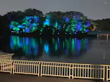 チームラボ ボタニカルガーデン 大阪に投稿された画像（2026/7/16）