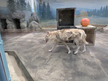 天王寺動物園に投稿された画像（2026/7/16）