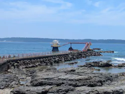 串本海中公園水族館に投稿された画像（2026/7/16）