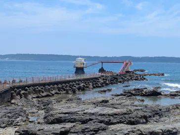 串本海中公園水族館に投稿された画像（2026/7/16）