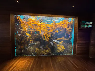 仙台うみの杜水族館に投稿された画像（2026/7/16）