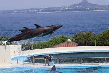 沖縄美ら海水族館に投稿された画像（2026/7/16）