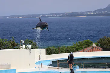 沖縄美ら海水族館に投稿された画像（2026/7/16）