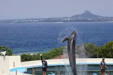 沖縄美ら海水族館に投稿された画像（2026/7/16）