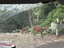 まつばんだ交通バス株式会社に投稿された画像（2026/7/16）