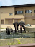 天王寺動物園に投稿された画像（2026/7/16）
