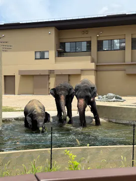 天王寺動物園に投稿された画像（2026/7/16）
