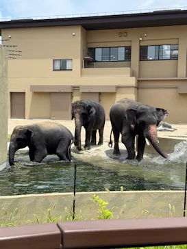 天王寺動物園に投稿された画像（2026/7/16）