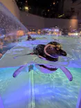 すみだ水族館に投稿された画像（2026/7/16）