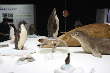 大南極展に投稿された画像（2026/7/16）