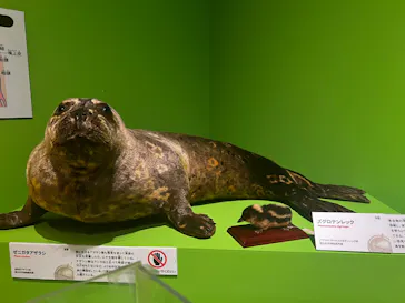 特別展「いきもの超ワールド展　国立科学博物館×ダーウィンが来た！」（国立科学博物館）に投稿された画像（2026/7/16）