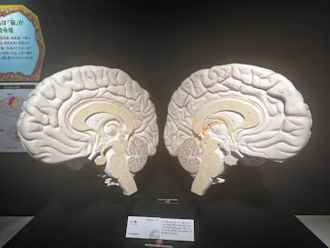 特別展「いきもの超ワールド展　国立科学博物館×ダーウィンが来た！」（国立科学博物館）に投稿された画像（2026/7/16）
