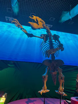 特別展「いきもの超ワールド展　国立科学博物館×ダーウィンが来た！」（国立科学博物館）に投稿された画像（2026/7/16）