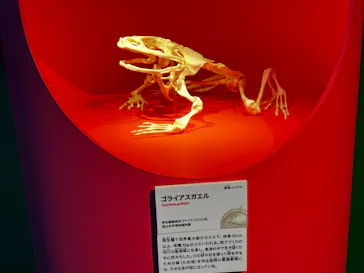 特別展「いきもの超ワールド展　国立科学博物館×ダーウィンが来た！」（国立科学博物館）に投稿された画像（2026/7/16）