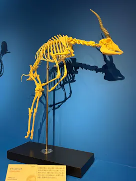 特別展「いきもの超ワールド展　国立科学博物館×ダーウィンが来た！」（国立科学博物館）に投稿された画像（2026/7/16）