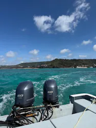 OCEANS/新原海底観光センターに投稿された画像（2026/7/17）