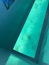 OCEANS/新原海底観光センターに投稿された画像（2026/7/17）