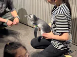 すみだ水族館に投稿された画像（2026/7/17）