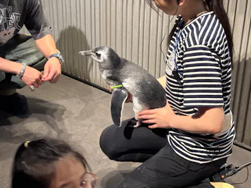 すみだ水族館に投稿された画像（2026/7/17）