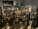 福井県立恐竜博物館に投稿された画像（2026/7/17）