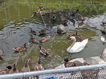 掛川花鳥園に投稿された画像（2026/7/17）