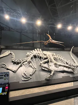 ヨコハマ恐竜展２０２６～恐竜の食卓大図鑑～に投稿された画像（2026/7/17）