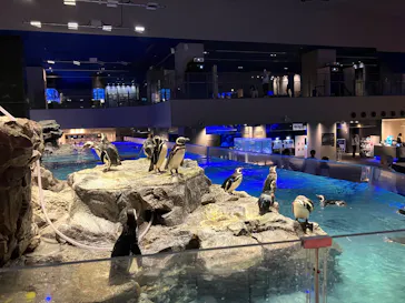 すみだ水族館に投稿された画像（2026/7/17）