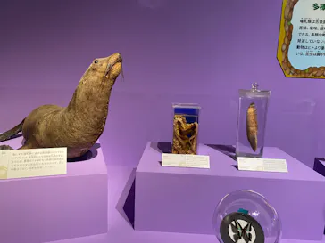 特別展「いきもの超ワールド展　国立科学博物館×ダーウィンが来た！」（国立科学博物館）に投稿された画像（2026/7/17）