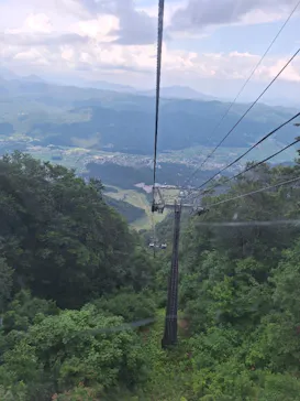 白馬五竜高山植物園に投稿された画像（2026/7/17）