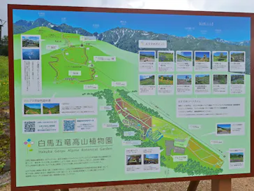 白馬五竜高山植物園に投稿された画像（2026/7/17）