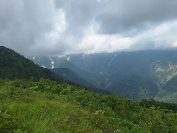白馬五竜高山植物園に投稿された画像（2026/7/17）