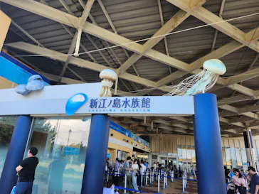 新江ノ島水族館に投稿された画像（2026/7/17）