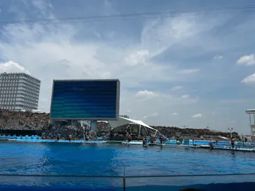 名古屋港水族館に投稿された画像（2026/7/17）
