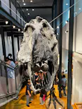 福井県立恐竜博物館に投稿された画像（2026/7/17）