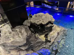 すみだ水族館に投稿された画像（2026/7/17）