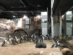 京都水族館に投稿された画像（2026/7/17）