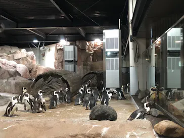 京都水族館に投稿された画像（2026/7/17）