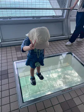 徳島県立 渦の道に投稿された画像（2026/7/18）
