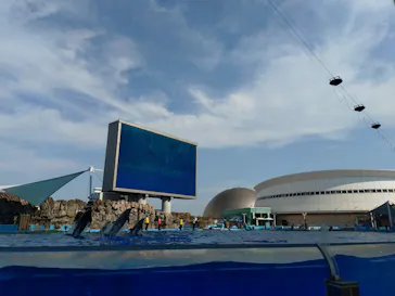 名古屋港水族館に投稿された画像（2026/7/18）