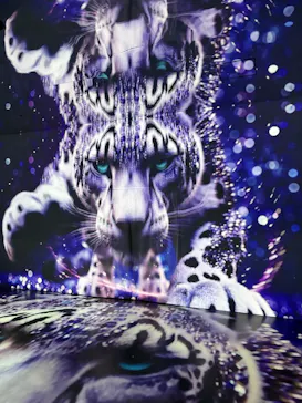 MIRACLE WORLDに投稿された画像（2026/7/18）