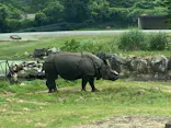 アソビュー！ポイントに投稿された画像（2026/7/18）
