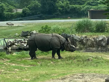 アソビュー！ポイントに投稿された画像（2026/7/18）
