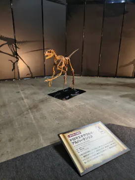 ヨコハマ恐竜展２０２６～恐竜の食卓大図鑑～に投稿された画像（2026/7/18）