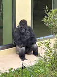 名古屋市東山動植物園に投稿された画像（2026/7/18）