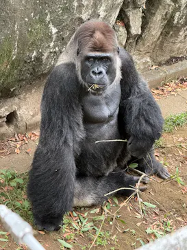千葉市動物公園に投稿された画像（2026/7/18）