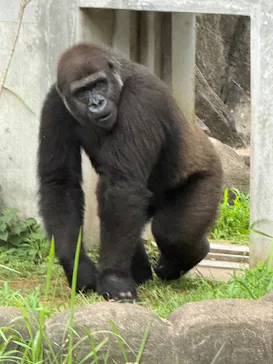 千葉市動物公園に投稿された画像（2026/7/18）