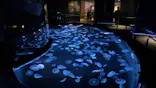 すみだ水族館に投稿された画像（2026/7/18）